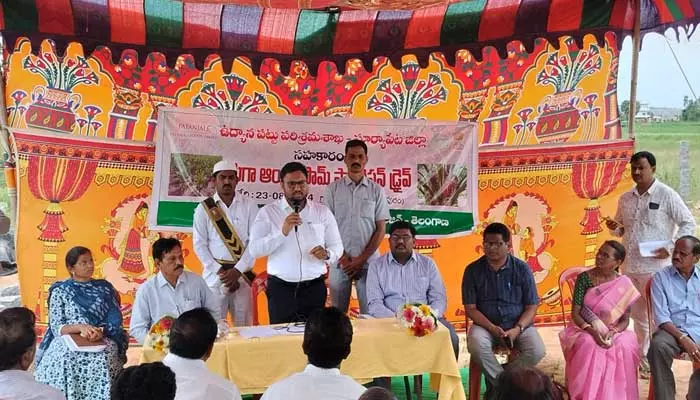 Suryapet Collector : డిమాండ్ ఉన్న ఆయిల్ ఫామ్ తోటలను సాగు చేయాలి