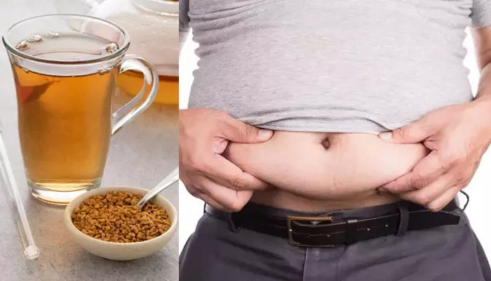 Belly fat : ప్రతి రోజూ ఉదయం ఈ వాటర్ తాగితే చాలు.. బెల్లీ ఫ్యాట్ ఈజీగా తగ్గించుకోవచ్చు!