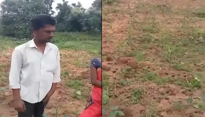 Farmer Suicide: పంటను పాడు చేసిన అధికారులు.. పురుగుల మందు తాగి రైతు ఆత్మహత్యాయత్నం