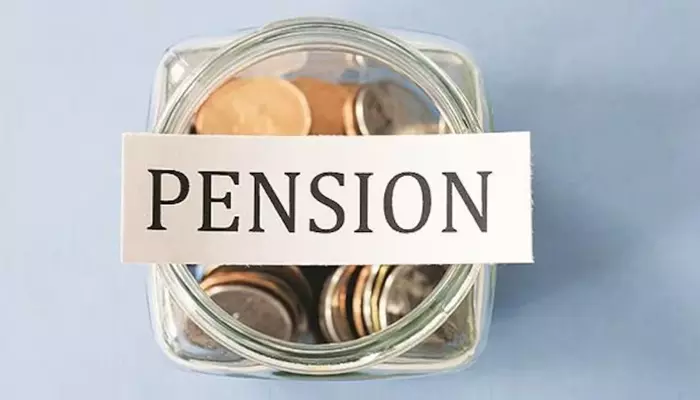 Pension: 2025 ఆర్థిక సంవత్సరంలో పెన్షన్‌ల కోసం రూ.79 వేల కోట్లు