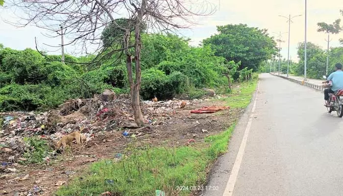 ఊర చెరువు కాదు..పట్టణ చెత్తతో నిండిన చెరువు