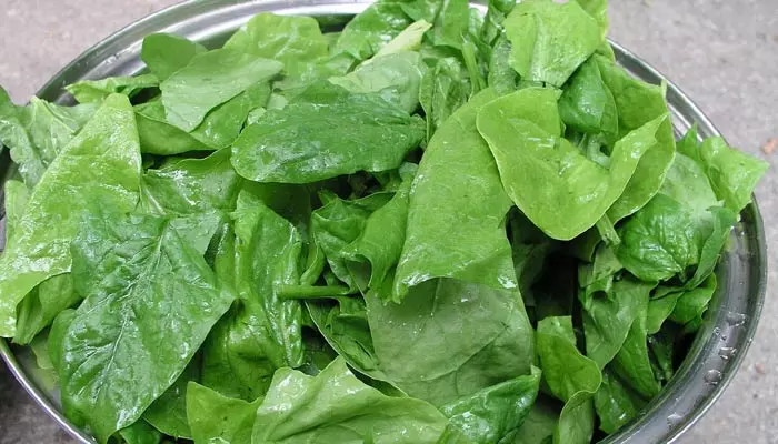 Leafy vegetables : వర్షాకాలంలో ఆకు కూరలు నిజంగానే తినకూడదా?.. నిపుణులు ఏం చెప్తున్నారంటే