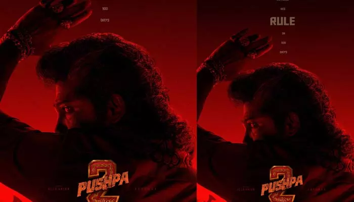 Pushpa-2: కౌంట్‌డౌన్ స్టార్ట్.. గూస్ బంప్స్ తెప్పిస్తున్న ‘పుష్ప-2’ న్యూ పోస్టర్