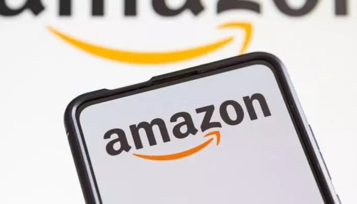 Amazon India: భారత క్విక్ కామర్స్ విభాగంలో అమెజాన్ ఎంట్రీ.. 2025లో ప్రారంభం