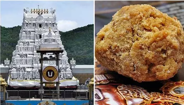 Tirumala Laddu: తిరుమల లడ్డూ ప్రసాదంపై చంద్రబాబు సంచలన వ్యాఖ్యలు