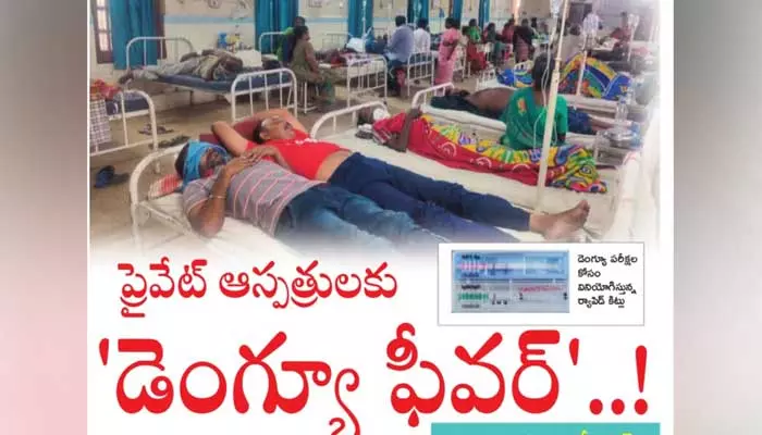 ప్రైవేట్ ఆస్పత్రులకు డెంగ్యూ ఫీవర్..!