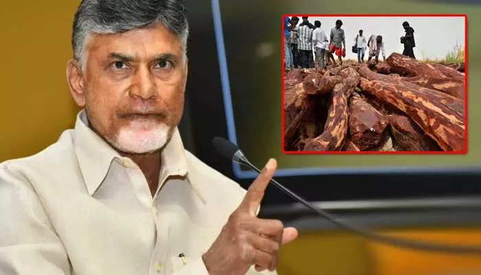 అడవుల్లో అడుగుపెడితే అదే చివరి రోజు.. ఎర్రచందనం స్మగ్లర్లకు చంద్రబాబు వార్నింగ్