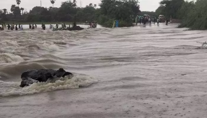 ఉధృతంగా అలుగు పోస్తున్న ఆమనగల్ చెరువు