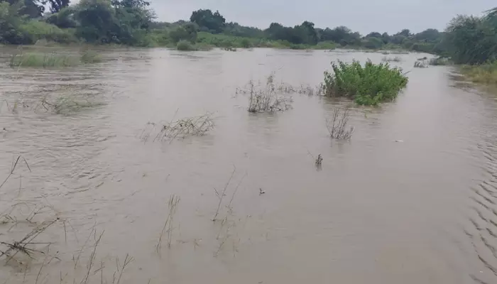 Heavy Rains: జిల్లావ్యాప్తంగా కుండపోత వర్షం