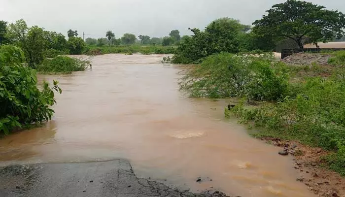 ఎడతెరిపి లేకుండా వర్షం.. వాగులు ఉధృతం