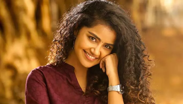 Anupama: అలాంటి సినిమాలు చేయడం బోరింగ్.. కొత్త ప్రయోగాలు చేయాలనుకుంటానంటూ అనుపమ కామెంట్స్