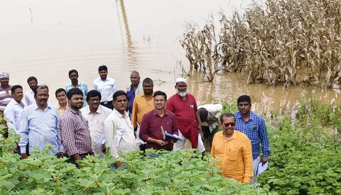 నాలుగు మండలాల్లో పంట నష్టం..చెరువులను తలపిస్తున్న పంట పొలాలు