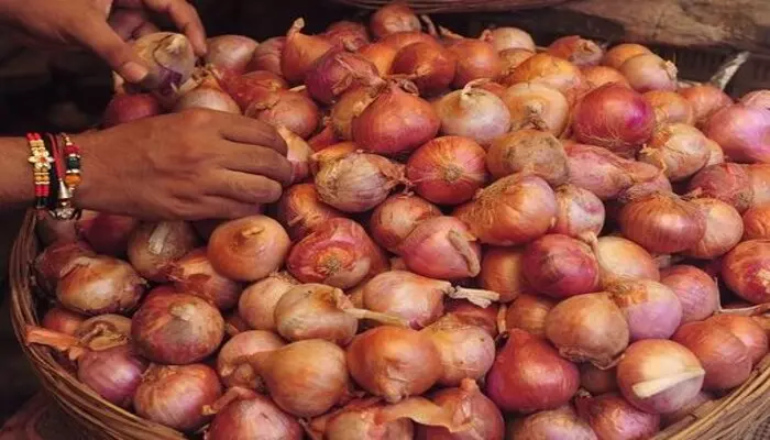 Onion Prices: ఢిల్లీలో కిలో రూ. 35కే ఉల్లిని విక్రయించనున్న కేంద్రం