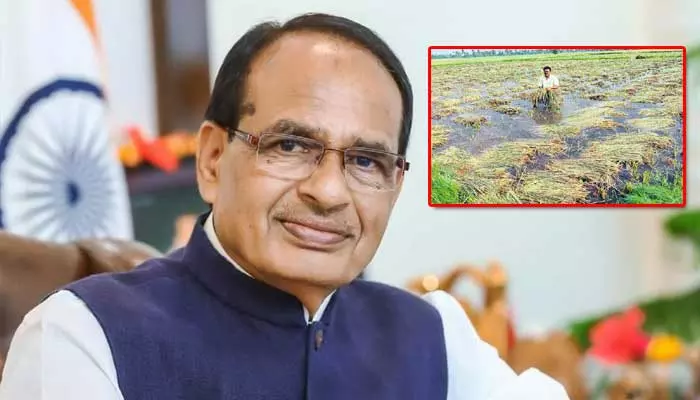 Ap Floods: రైతులకు భారీ నష్టం.. కేంద్రమంత్రి సంచలన హామీ