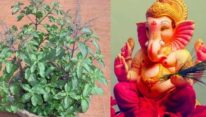 Lord Ganesh : తులసితో పెళ్లిని  వినాయకుడు ఎందుకు నిరాకరించాడో తెలుసా..?