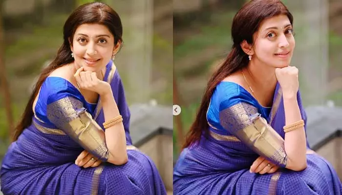 Pranita Subhash: ఫ్యాన్స్ కోసం ఆ రంగు చీర కట్టిన పవర్ స్టార్ హీరోయిన్.. అట్రాక్టింగ్ పిక్స్ వైరల్