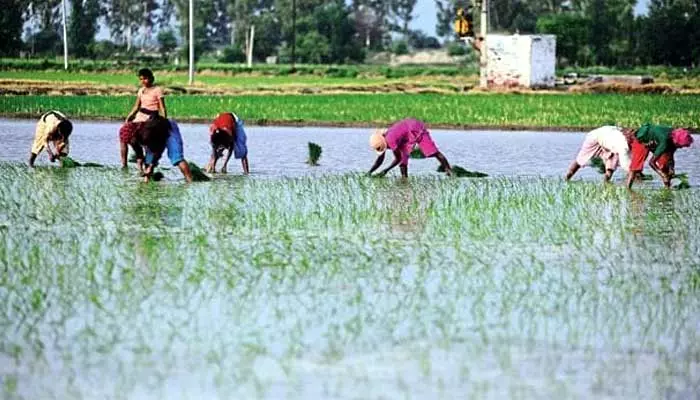 రుణాలకు బ్రేక్.. రైతులకు షాక్