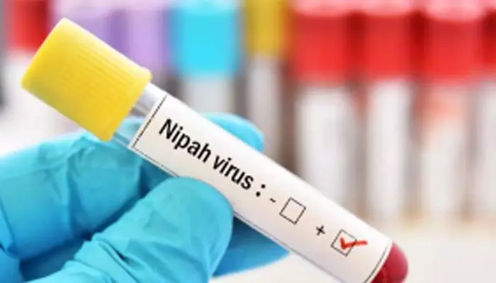 Nipah virus: కేరళలో మరోసారి ‘నిఫా’ కలకలం.. వైరస్ సోకి 24 ఏళ్ల యువకుడు మృతి