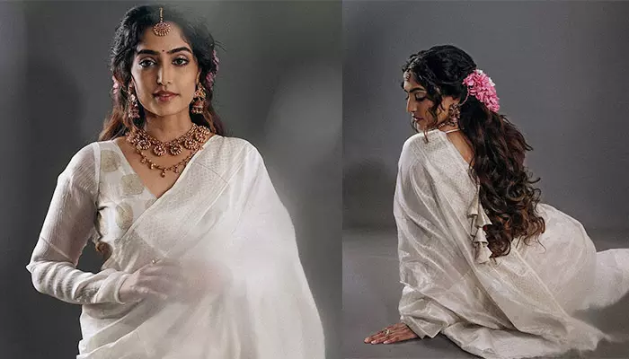 Gorgeous Reba Monica John Saree Clicks Goes Viral On Internet