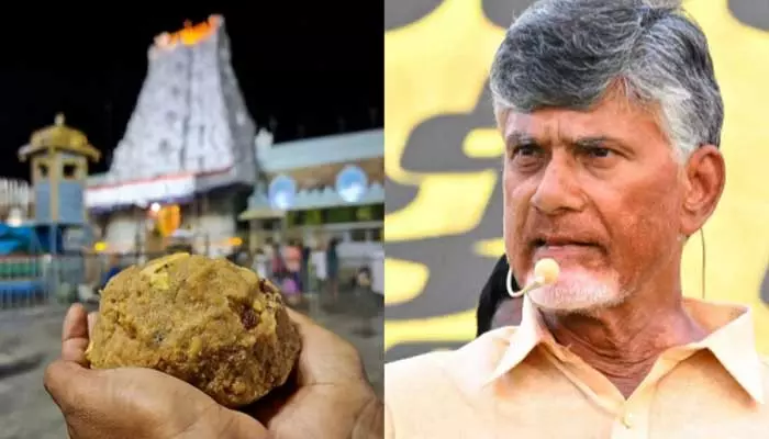 ‘తిరుమల లడ్డూ వ్యవహారంపై సమగ్ర నివేదిక ఇవ్వండి’.. టీటీడీ ఈవోను ఆదేశించిన సీఎం