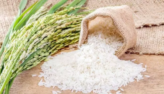 Rice Export : బియ్యం ఎగుమతులపై బ్యాన్ ఎత్తివేసిన కేంద్రం