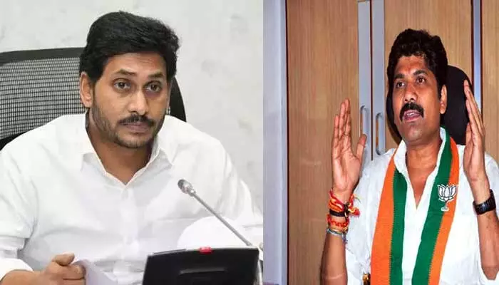 AP News:మాజీ సీఎం జగన్‌పై బీజేపీ నేత ఫైర్.. చర్చకు సిద్ధమా అంటూ స్ట్రాంగ్ కౌంటర్?