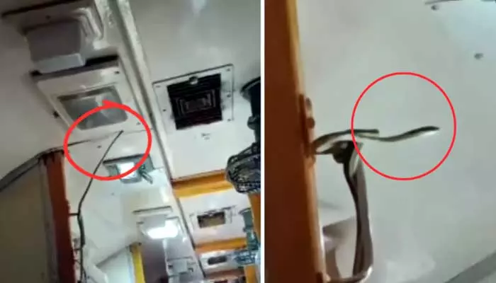 Snake In Train: గరీబ్‌రథ్ ఎక్స్‌ప్రెస్ రైలులో పాము ప్రత్యక్షం..వైరల్ అవుతున్న వీడియో