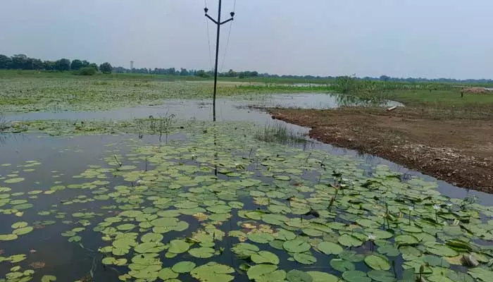 ఇటిక్యాల చెరువుపై ఎఫ్టీఎల్ వివాదం.