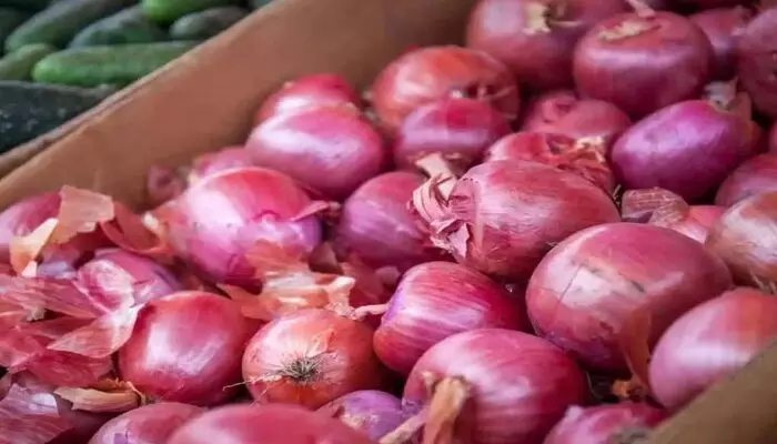 Onion Prices: ఉల్లి ధరల నియంత్రణకు బఫర్ స్టాక్ అమ్మకాలు ప్రారంభించిన ప్రభుత్వం