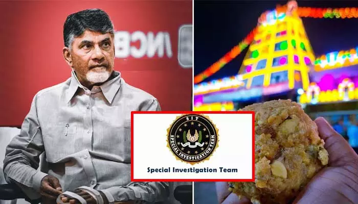 తిరుమల లడ్డూ తయారీలో అపవిత్రం.. ఏపీ ప్రభుత్వం సంచలన నిర్ణయం