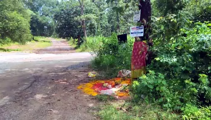 అర్థరాత్రి చెట్టుకు చీరకట్టి.. కెవ్వు కేక!