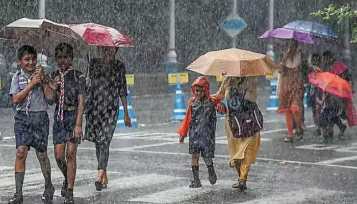 Rain Alert: వాతావరణ శాఖ కీలక సూచన.. రాబోయే 48 గంటల్లో ఆ జిల్లాల్లో భారీ వర్షాలు!