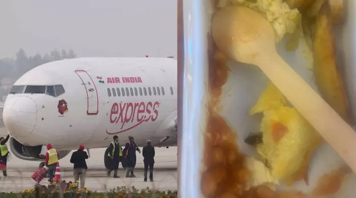 Air India: ఎయిరిండియా విమానంలో బొద్దింక పడి ఉన్న ఆహారం