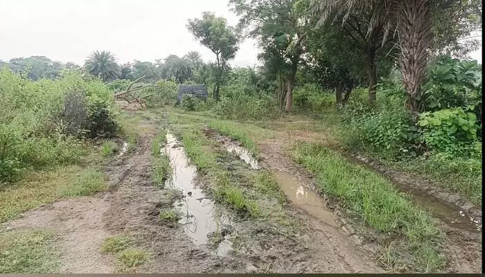 అభివృద్ధికి ఆమడ దూరంలో గిరిజన తండాలు..