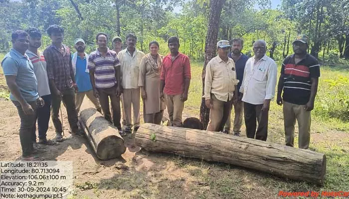 టేకు కలపను స్వాధీనం చేసుకున్న అటవీ శాఖ అధికారులు..