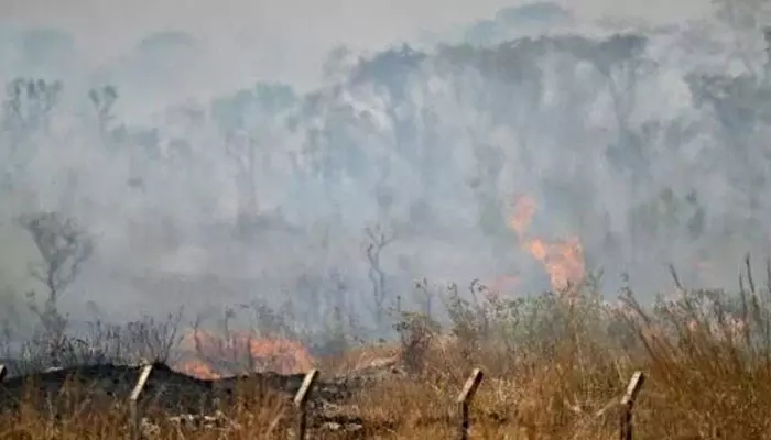 Amazon Rainforest: అమెజాన్ అడవుల్లో కార్చిచ్చు.. బ్రెజిల్ కు కరువైన ఊపిరి