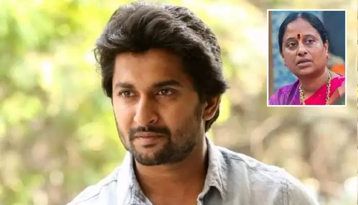 Hero Nani: రాజకీయ నాయకుల అర్థం లేని వ్యాఖ్యలపై అసహ్యం వేస్తోంది: నటుడు నాని సంచలన వ్యాఖ్యలు