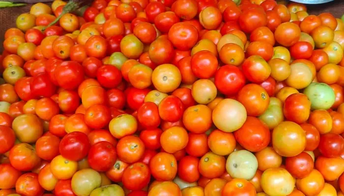 Tomato Price: టమాటో కేజీ @ రూ.100