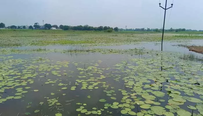 ఇటిక్యాల చెరువుపై ఎఫ్టీఎల్ వివాదం..