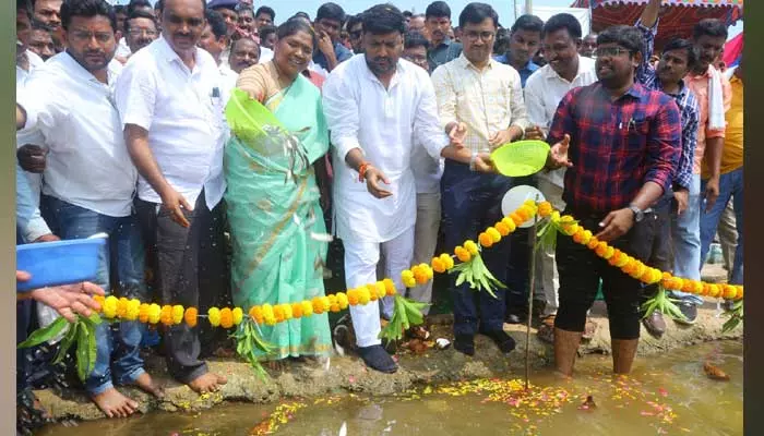 చేపల పెంపకానికి ప్రత్యేక కార్యాచరణ - మంత్రి సీతక్క..