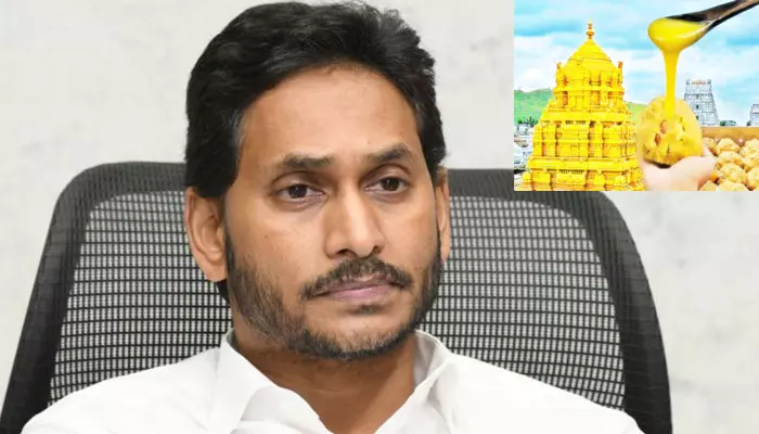 Thirumala Laddu Issue: కల్తీ నెయ్యి రాజకీయం..  జగన్ పై టీడీపీ సంచలన ఆరోపణలు