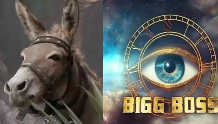 Bigg Boss: బిగ్‌బాస్ హౌస్‌లోకి కంటెస్టెంట్స్‌తో పాటు గాడిద..  షాక్‌లో ఆడియన్స్ (వీడియో)