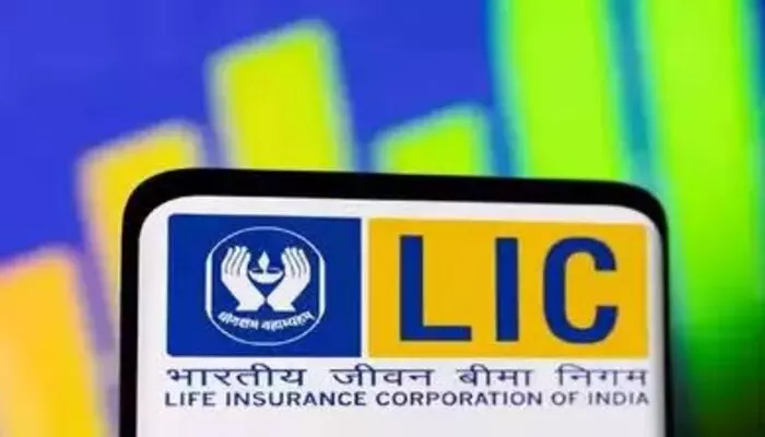 LIC: చిన్న సమూహాల కోసం ఎల్ఐసీ సరికొత్త ప్లాన్