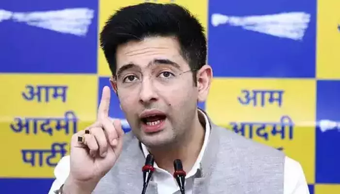 Raghav Chadha: ఢిల్లీ ఎన్నికల్లో ఒంటరిగానే పోటీ.. ఆప్ ఎంపీ రాఘవ్ చద్దా