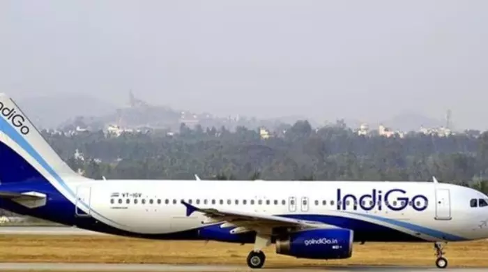 IndiGo flight: ఇండిగో విమానంలో మహిళకు వేధింపులు