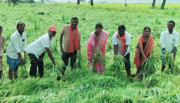 నేలవాలిన రైతుల ఆశలు…!