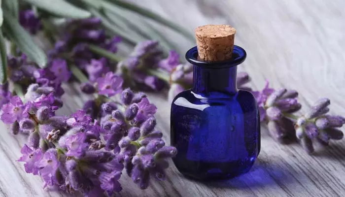 Lavender perfume: నీలి పూల సుగంధం.. లావెండర్ పెర్ఫ్యూమ్‌తో  ఆ సమస్యలు మాయం!