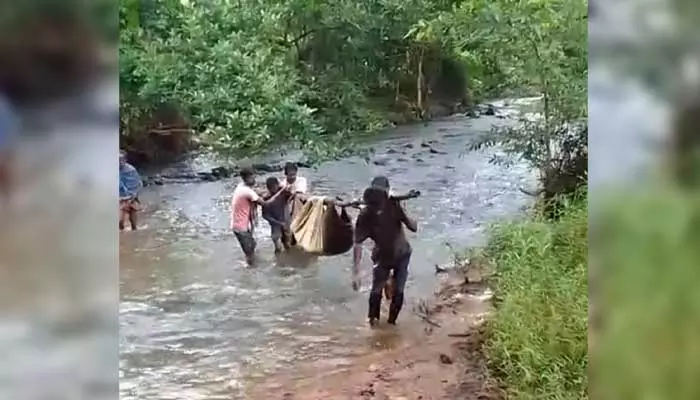 డోలిపై 8 కి.మీ. మోసినా దక్కని ప్రాణాలు