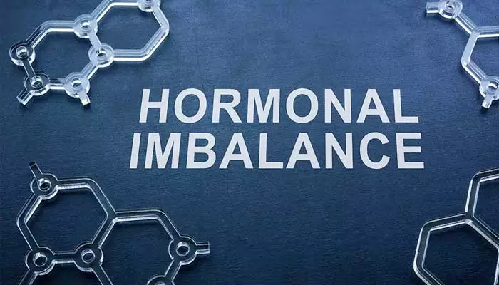 Hormone Imbalance: బ్రేక్ ఫాస్ట్‌లో ఇవి తీసుకుంటున్నారా? హార్మోన్ల అసమతుల్యతకు దారి తీయొచ్చు?