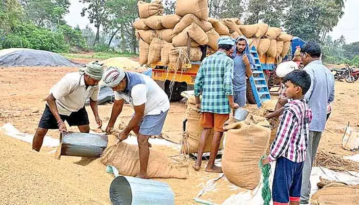 Bonus for Paddy: వడ్లకు రూ.500 బోనస్ కావాలంటే రైతులు ఈ నిబంధనలు పాటించాల్సిందే..!